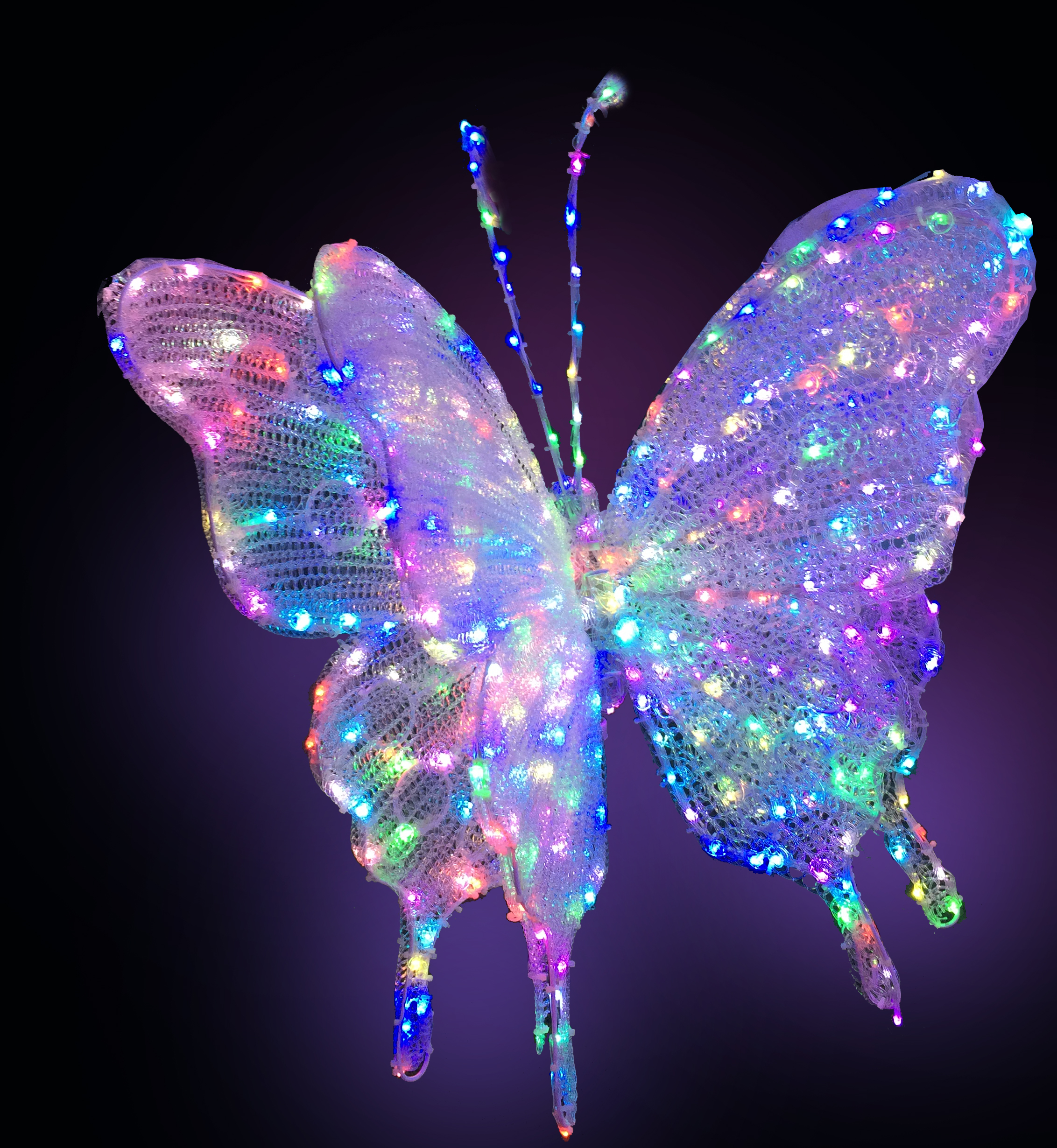 an RGB lighted butterfly decoration
