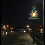 OTG Tree Veterans 1