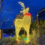 giant deer
